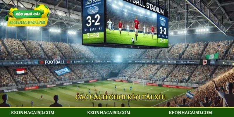 Kèo Tài Xỉu Là Gì? Chi Tiết Cách Đọc Cách Chơi Từ A Đến Z 3 Có những cách chơi kèo tài xỉu là gì