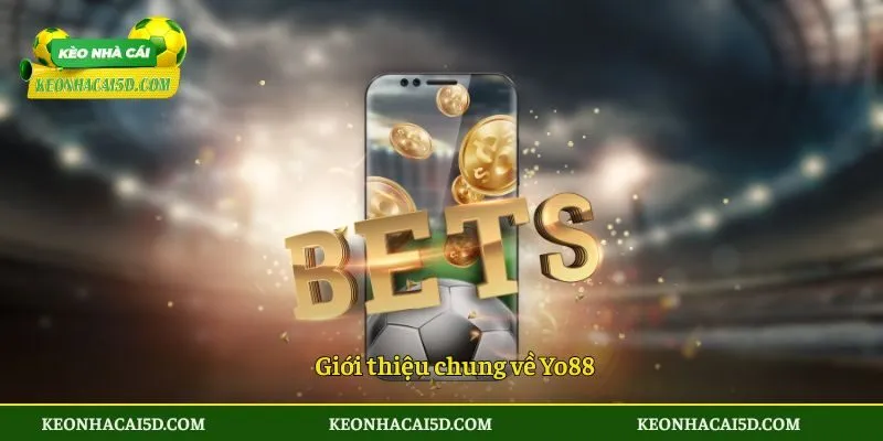 Giới thiệu chung về Yo88