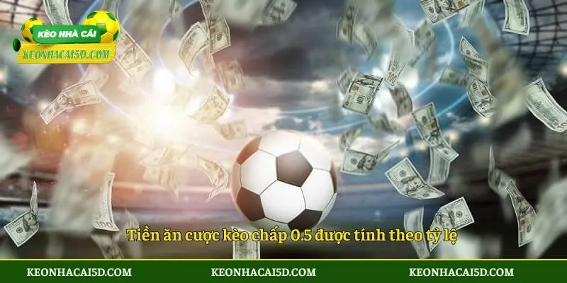Tiền ăn cược kèo chấp 0.5 được tính theo tỷ lệ