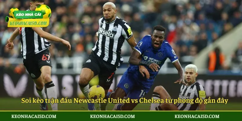 Soi Kèo Trận Đấu Newcastle United Vs Chelsea Vào Thứ 7 Ngày 20/12/2025 - Giải Ngoại Hạng Anh 2 Soi kèo trận đấu Newcastle United vs Chelsea từ phong độ gần đây